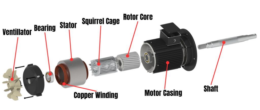 Parts of a Squirrel Cage Induction Motor, demonstration for how electric motors work
